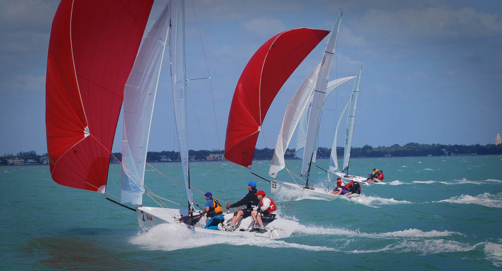 Racing Vipers on Biscayne Bay