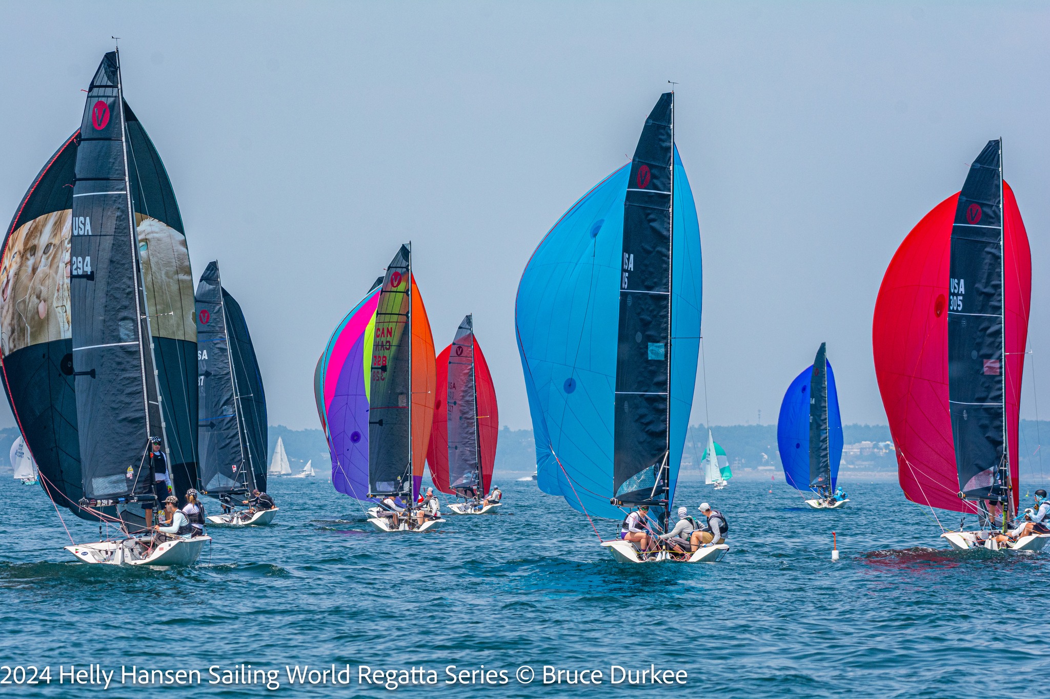 Team Z Crowned Viper 640 New England Champs - Viper 640