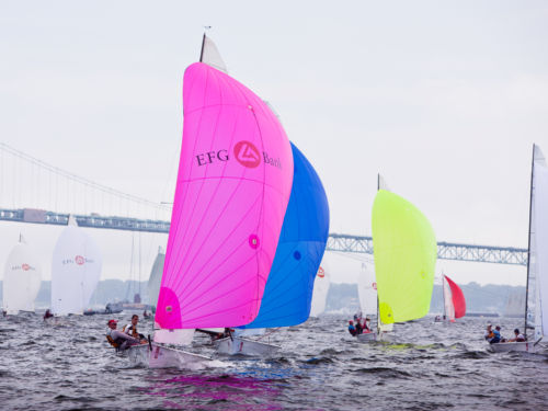 Pink Storm leading the Viper 640 Class downwind during Bacardi Newport Sailing Week